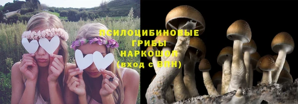 МДПВ Беломорск