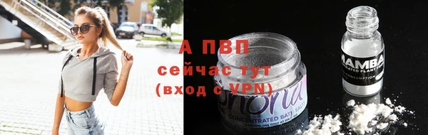 крисы Белокуриха