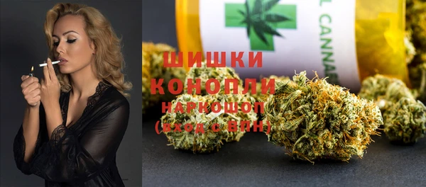 крисы Белокуриха