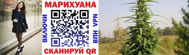 Канабис ГИДРОПОН  Кондрово 